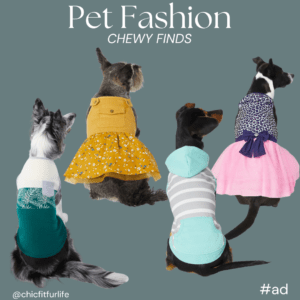 Pet Fashion – Colorful Paws