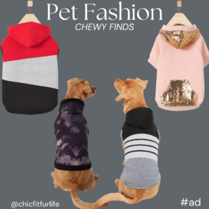 Pet Fashion – Cozy Canine