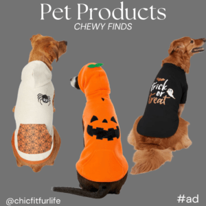 Pet Products – Spooky Pooch